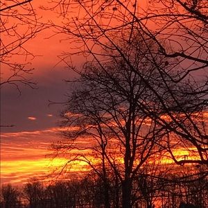 Shopper Tips: Don’t Wait!